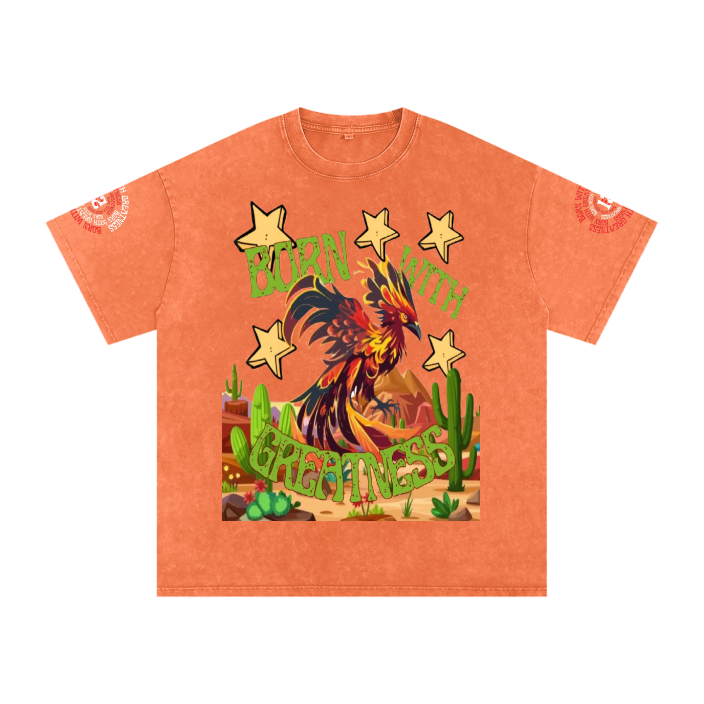 Snow Washed Oversized Cotton T-Shirt
