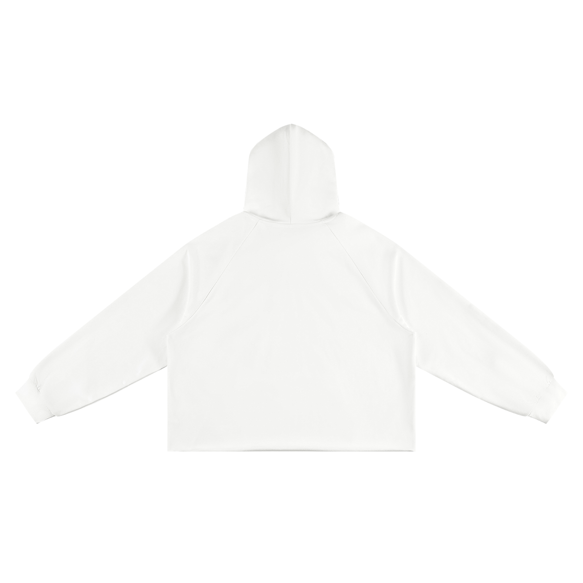 BWG THE 13th HOODIE
