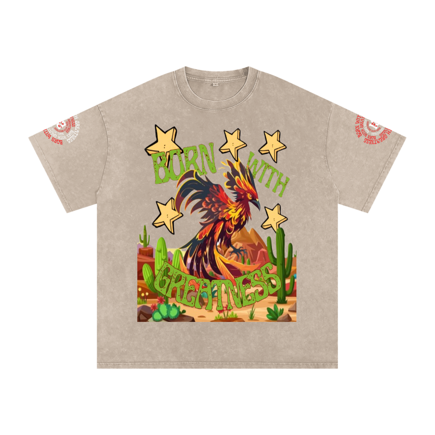 Snow Washed Oversized Cotton T-Shirt