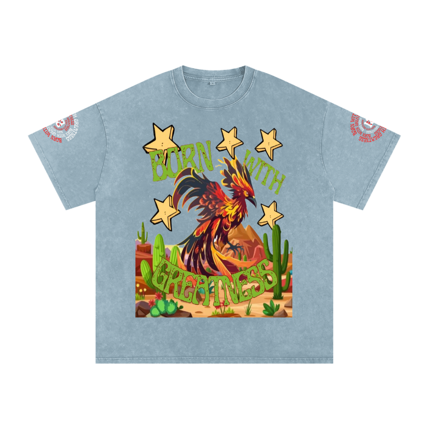 Snow Washed Oversized Cotton T-Shirt