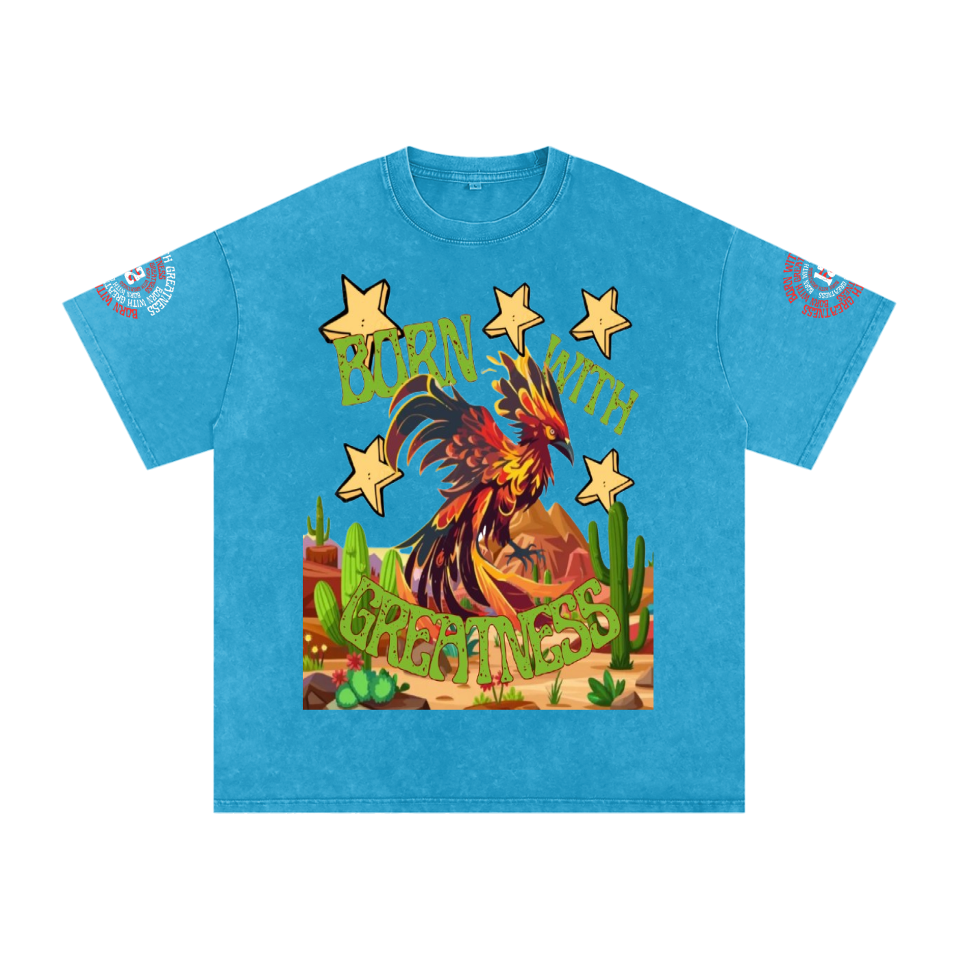 Snow Washed Oversized Cotton T-Shirt