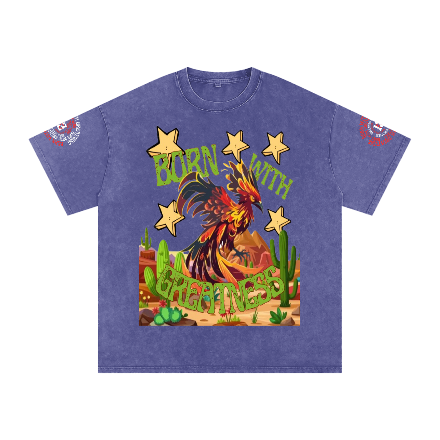 Snow Washed Oversized Cotton T-Shirt